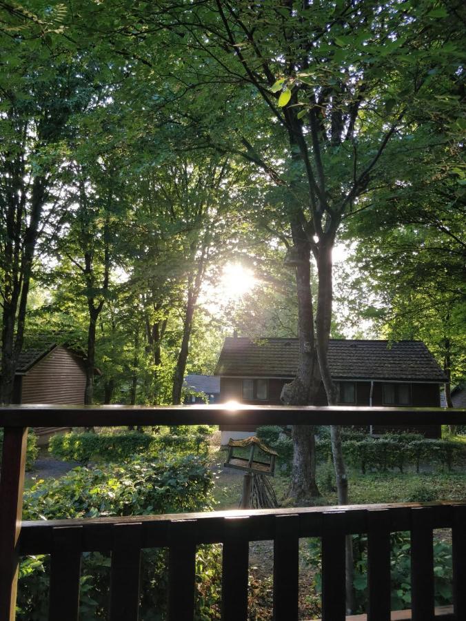 Chalet234 In La Boverie ロンドゥー エクステリア 写真